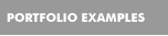 Portfolio Examples