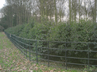 Continuous Bar Railing Fencing Continuous Bar Railing Fencing
